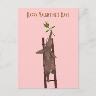 Postal Festiva Elefante trepando una escalera