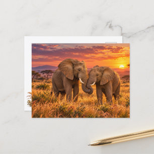 Postal Festiva Elefantes africanos románticos Atardecer en la sab