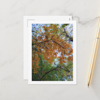 Postal Festiva Elegant Autumn Holiday Postcard