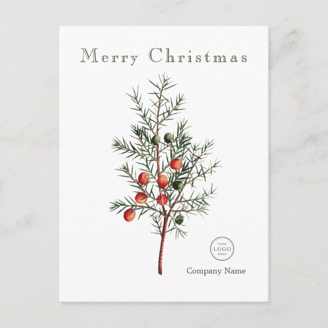 Postal Festiva Elegantes Navidades de la vegetación Berries (Anverso)