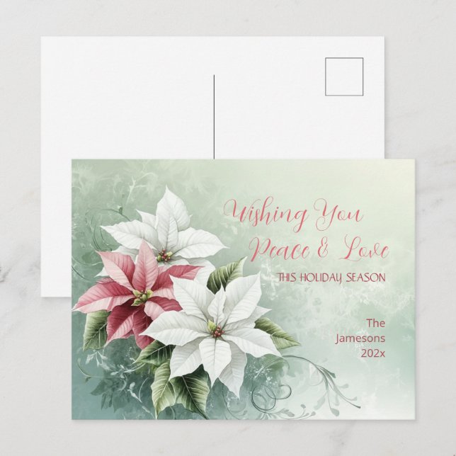 Postal Festiva Elegantes Navidades rosados blancos Poinsettias (Anverso / Reverso)