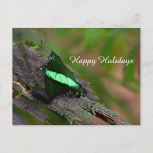 Postal Festiva Emerald Swallowtail, Felices Fiestas