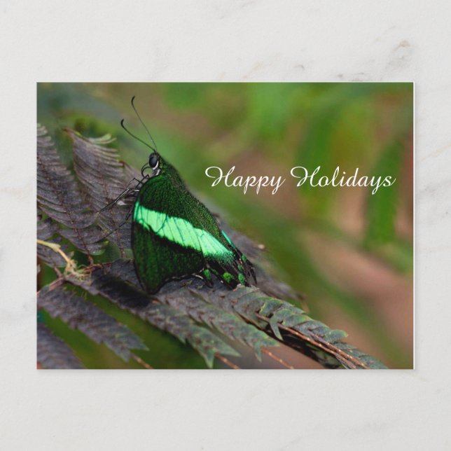 Postal Festiva Emerald Swallowtail, Felices Fiestas (Anverso)