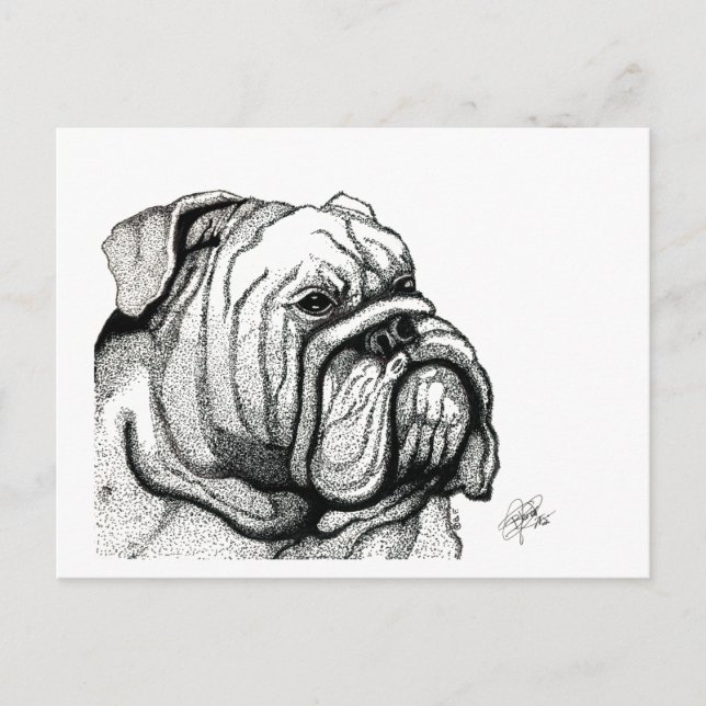 POSTAL FESTIVA ENGLISH BULLDOG (Anverso)