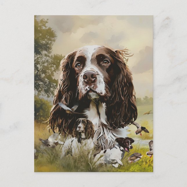 Postal Festiva English Springer Spaniel (Anverso)