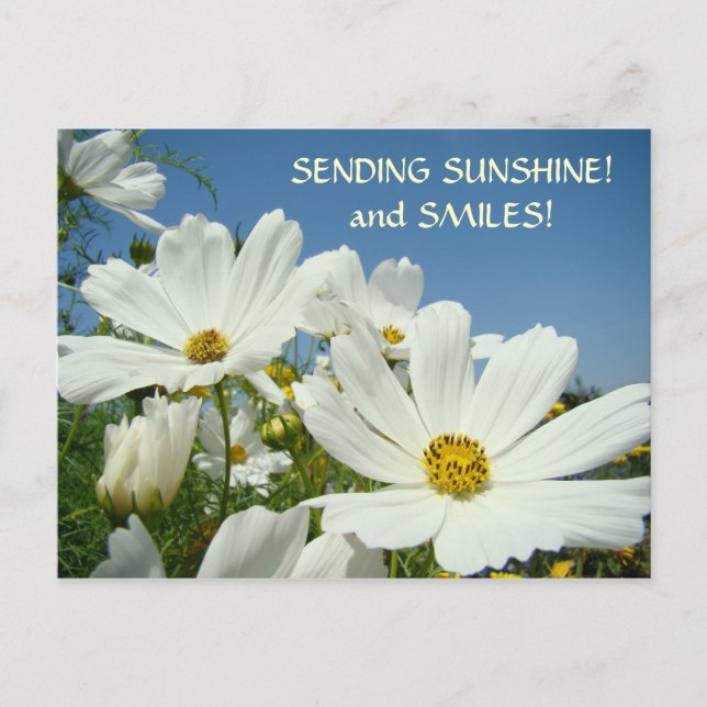 Postal Festiva ¡ENVIANDO SUNSHINE Y Sonrisas! Postcard Valentines (Anverso)