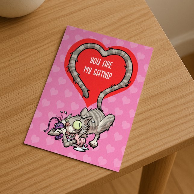Postal Festiva Eres Mi Gato De San Valentín Divertido Alternativo (Subido por el creador)