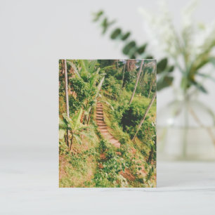 Postal Festiva Escalera de bosques lluviosos de Bali