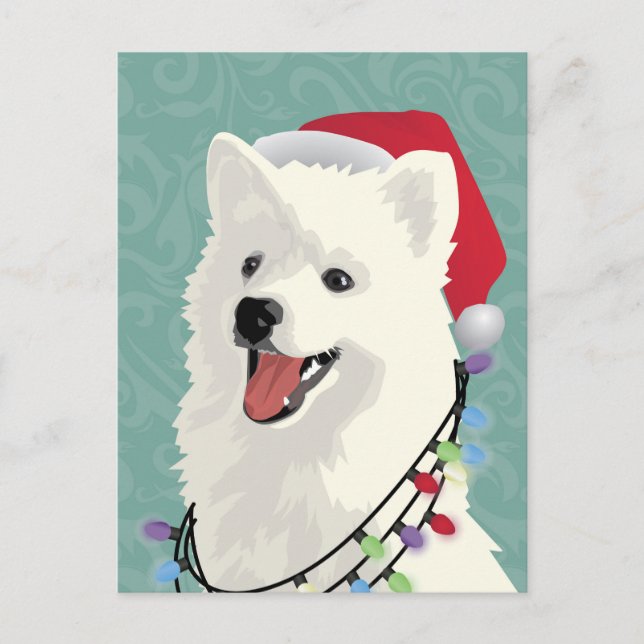 Postal Festiva Eskimo Samoyed Navidades de perros copiosos (Anverso)