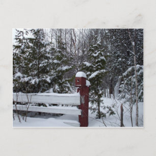 Postal Festiva Esperando a la casa de pájaros-Navidades