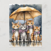 Estaba lloviendo afuera, así que el gato materno l