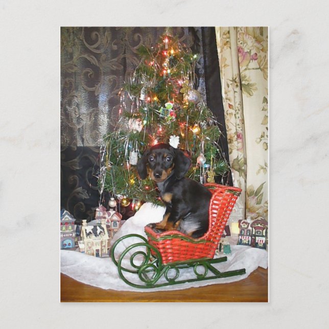 Postal Festiva Estilo Dachshund de los navidades (Anverso)