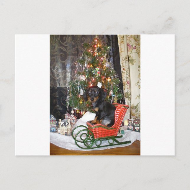 Postal Festiva Estilo Dachshund de los navidades (Anverso)