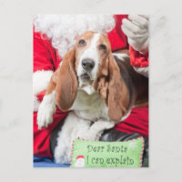 Estimado Santa puedo explicar Basset Hound