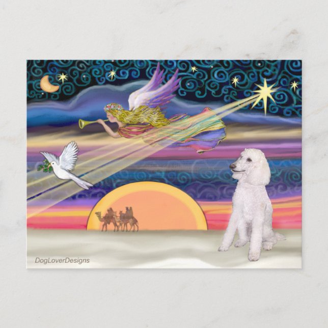 Postal Festiva Estrella de los navidades - Poodle (estándar blanc (Anverso)