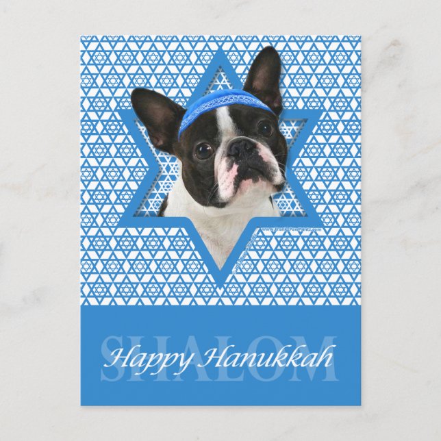 Postal Festiva Estrella Hanukkah de David - Boston Terrier (Anverso)