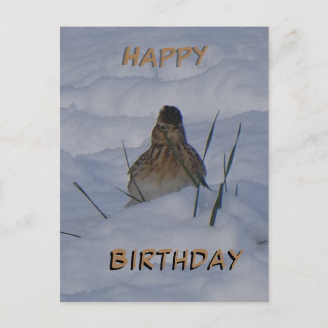 Postal Festiva Eurasian Skylark Bird Cust. Text Birthday Postcard (Anverso)