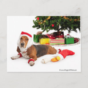 Postal Festiva Felices fiestas/diciembre