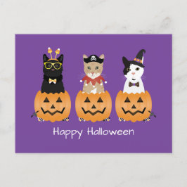Postal Festiva Felices gatos de Halloween Jack O Lantern