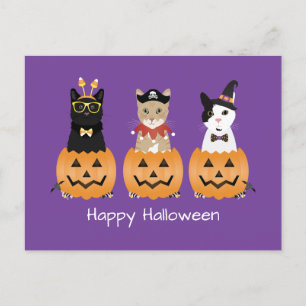 Postal Festiva Felices gatos de Halloween Jack O Lantern