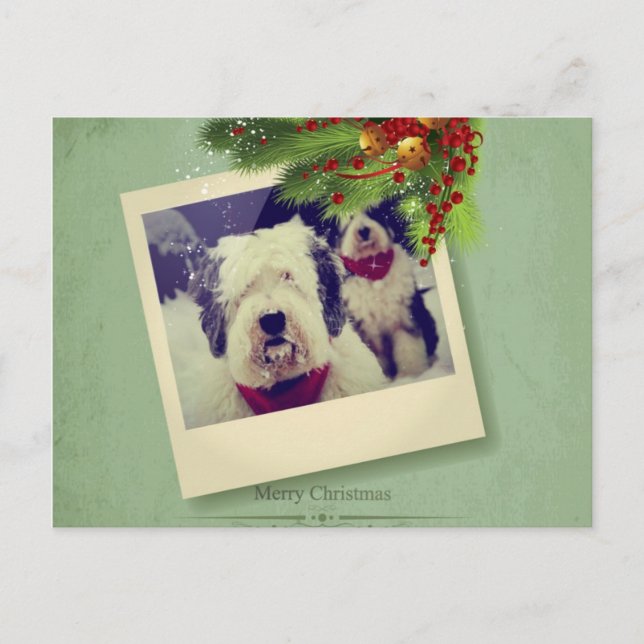 Postal Festiva ¡Felices Navidad! (Anverso)