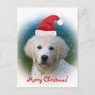 Postal Festiva ¡Felices Navidad! perrito lindo del golden
