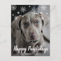 Felices Pawlidays Snowflakes Dog Photo Navidades
