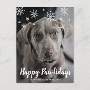 Postal Festiva Felices Pawlidays Snowflakes Dog Photo Navidades
