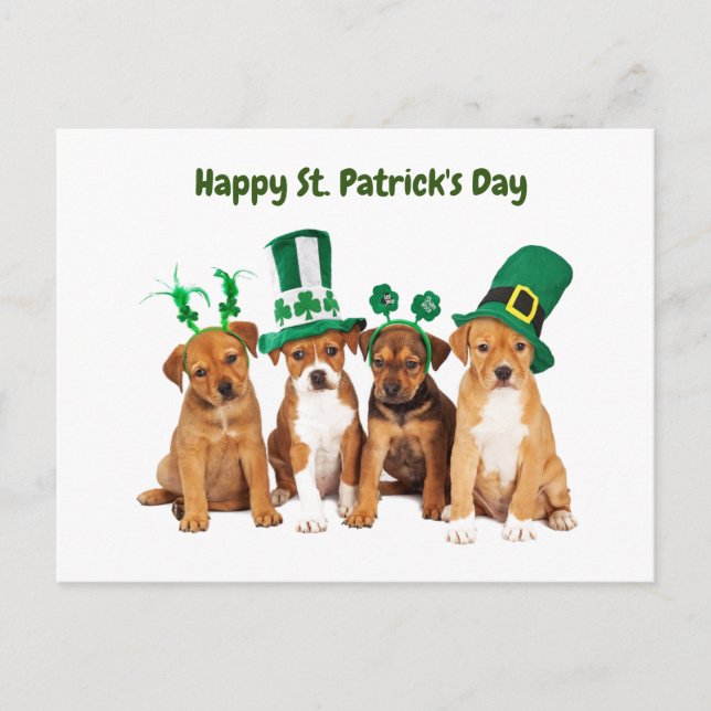 Postal Festiva Felices perros del Día de San Patricio (Anverso)
