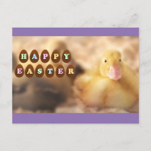 Postal Festiva Felices saludos de Pascua de Cute Duckling