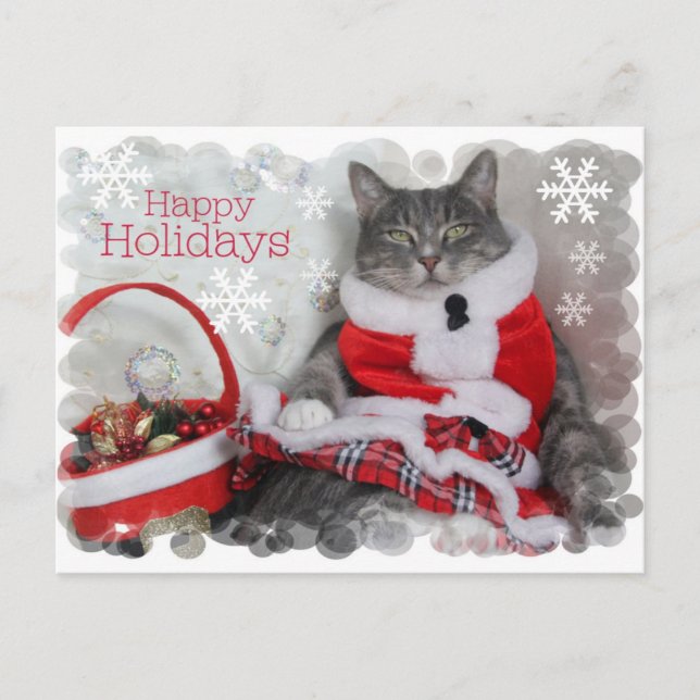 Postal Festiva Felices vacaciones de invierno con gato (Anverso)