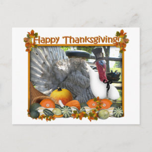 Postal Festiva Feliz Acción de Gracias de Tom el Peregrino Turquí