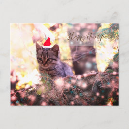 Postal Festiva Feliz Año Nuevo: Kitten