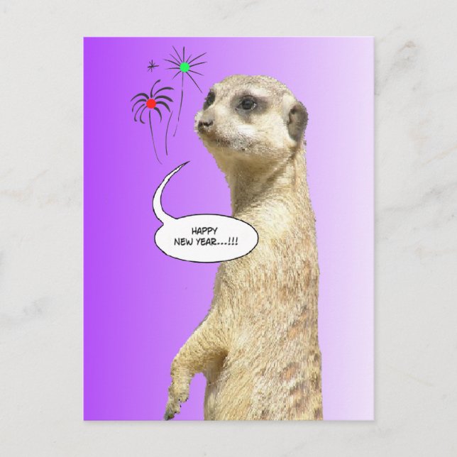 Postal Festiva Feliz Año Nuevo Meerkat Postcard Fuegos artificial (Anverso)