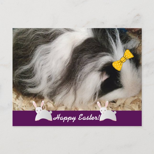 Postal Festiva Feliz Cerdo de Pascua (Anverso)