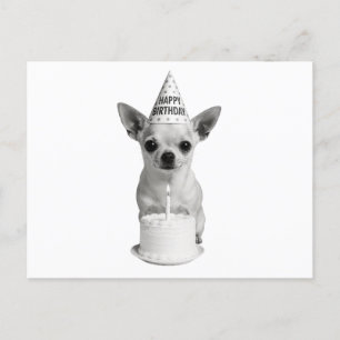 Postal Festiva Feliz cumpleaños Chihuahua