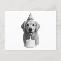 Feliz Cumpleaños Golden Retriever