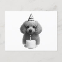 Feliz cumpleaños Poodle