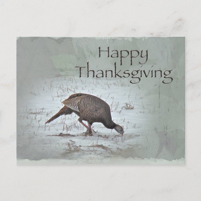 Postal Festiva Feliz Día de Acción de Gracias, salvaje Turquía (Anverso)