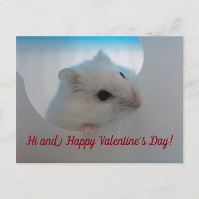 Postal Festiva Feliz Día de San Valentín (Anverso)