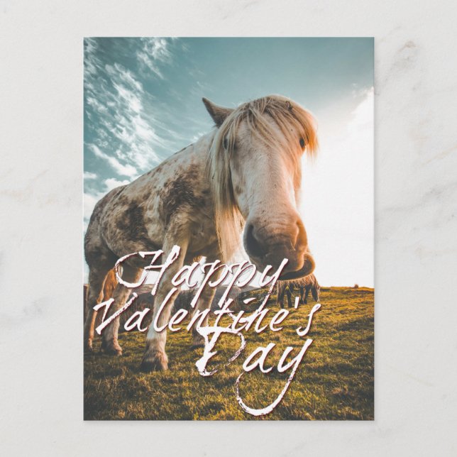 Postal Festiva Feliz día de San Valentín con caballo mirando (Anverso)