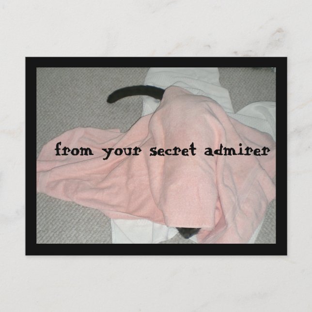 Postal Festiva Feliz Día de San Valentín del Mascota (Anverso)