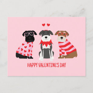Postal Festiva Feliz Día de San Valentín Perros Schnauzer