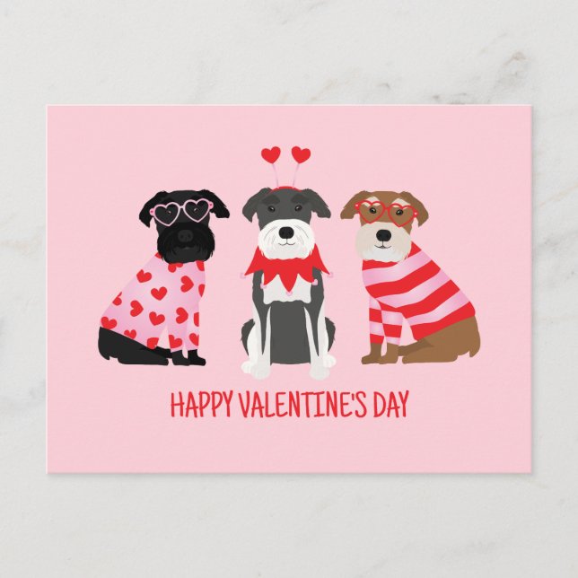 Postal Festiva Feliz Día de San Valentín Perros Schnauzer (Anverso)