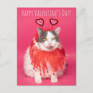 Postal Festiva Feliz Día de San Valentín, un gato cálido y difuso