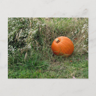 Postal Festiva ¡Feliz Halloween/Día de Acción de Gracias!