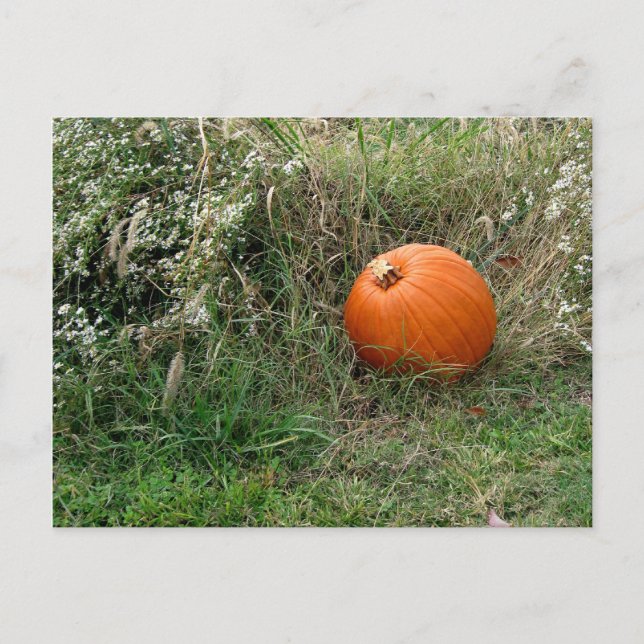 Postal Festiva ¡Feliz Halloween/Día de Acción de Gracias! (Anverso)