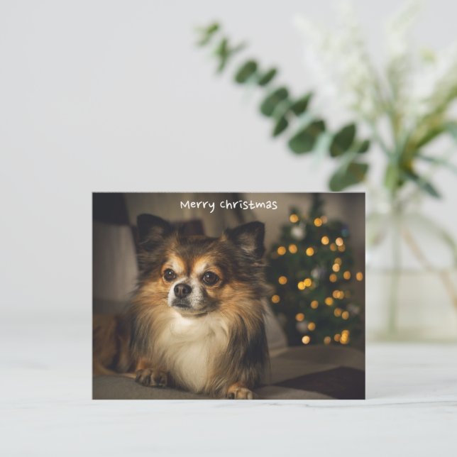 Postal Festiva Feliz Mascota navideño/perro Chihuahua (Anverso de pie)