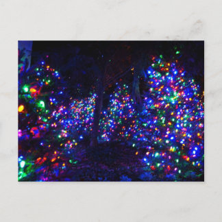 Postal Festiva ¡Feliz Navidad!