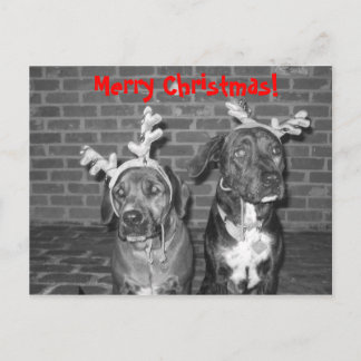 Postal Festiva ¡Feliz Navidad!